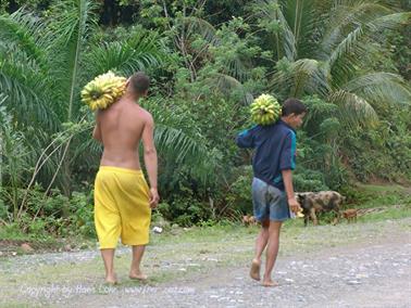 2010 Cuba, Chivirico - Baracoa, DSC09972b_B740